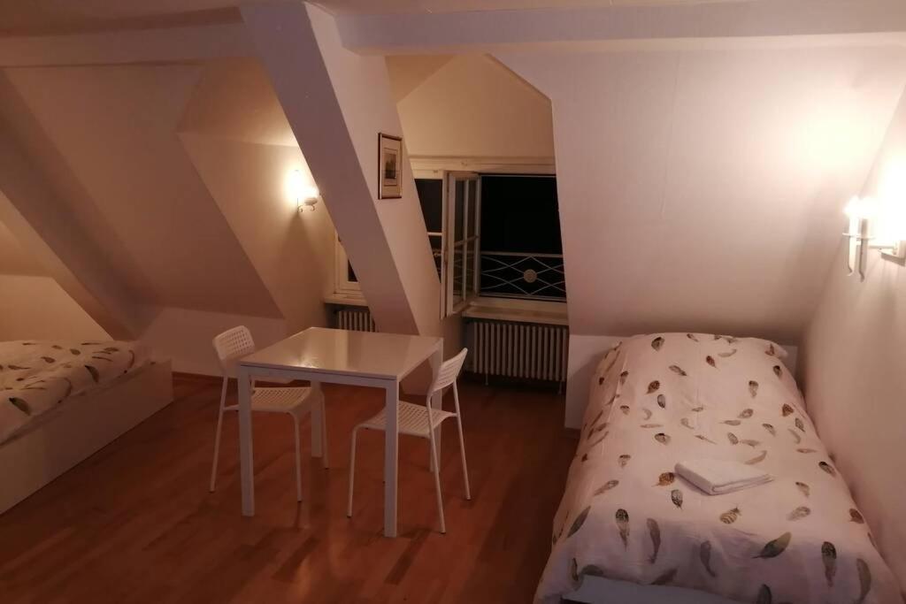 巴塞尔Studio F Am Barfusserplatz Central Old Town公寓 外观 照片
