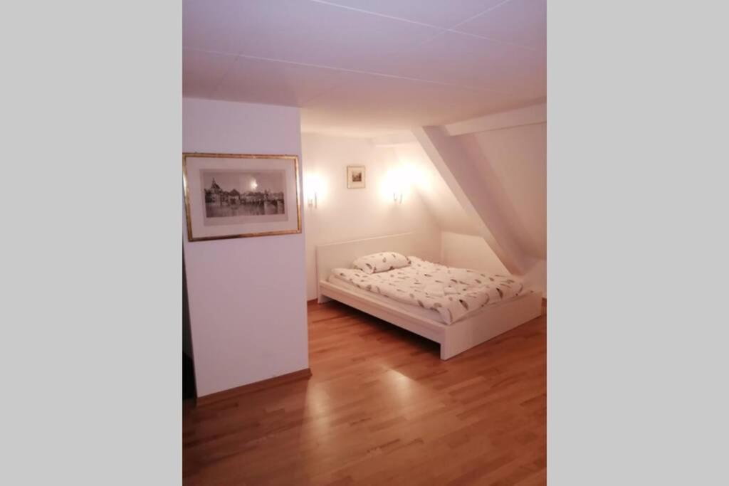 巴塞尔Studio F Am Barfusserplatz Central Old Town公寓 外观 照片